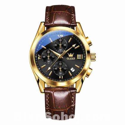 Olevs 2872 Quartz Wrist watch